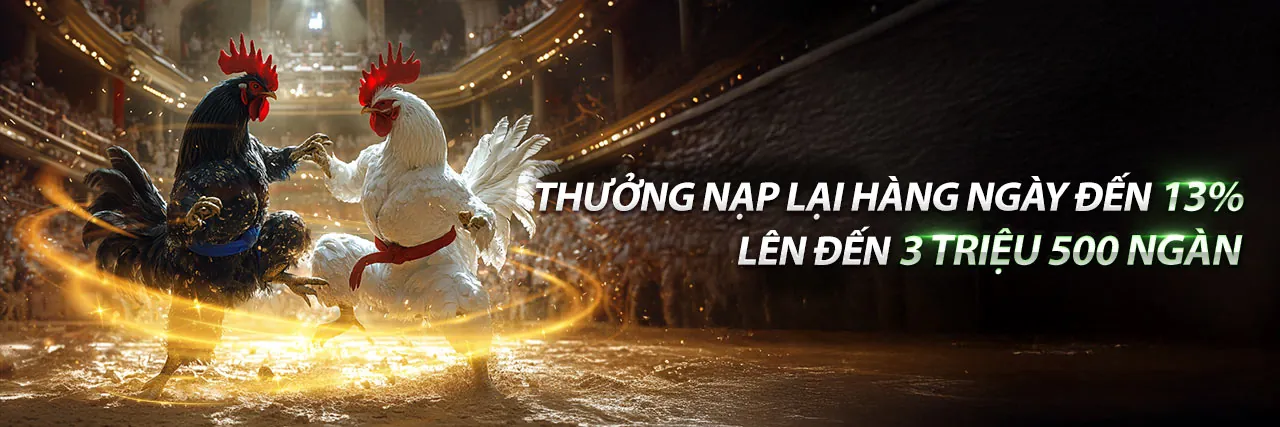 Sân đấu đá gà trực tuyến kịch tính tại 90ok