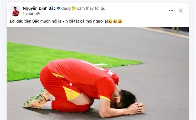 Biểu đồ tăng trưởng hoa hồng cao